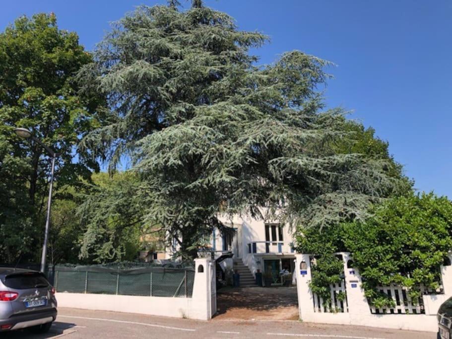Villa Les Terrasses Dans La Nature Avec Piscine A 2 Pas De Lyon, Metro A 15Mn A Pied Pour Lyon Centre En 10Mn Ou Bus A 300M Pour Lyon Centre Oullins Luaran gambar